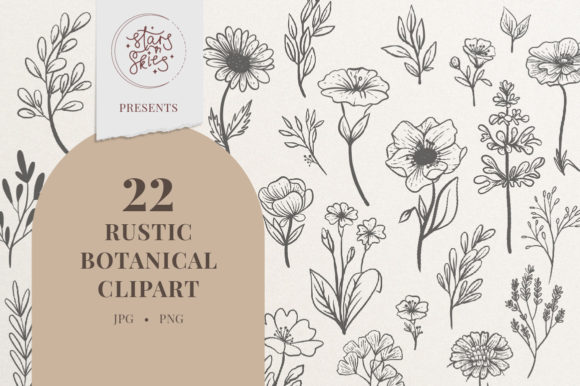 Rustic Botanical Illustration Clipart: A Practical Resource for Designers and Creators